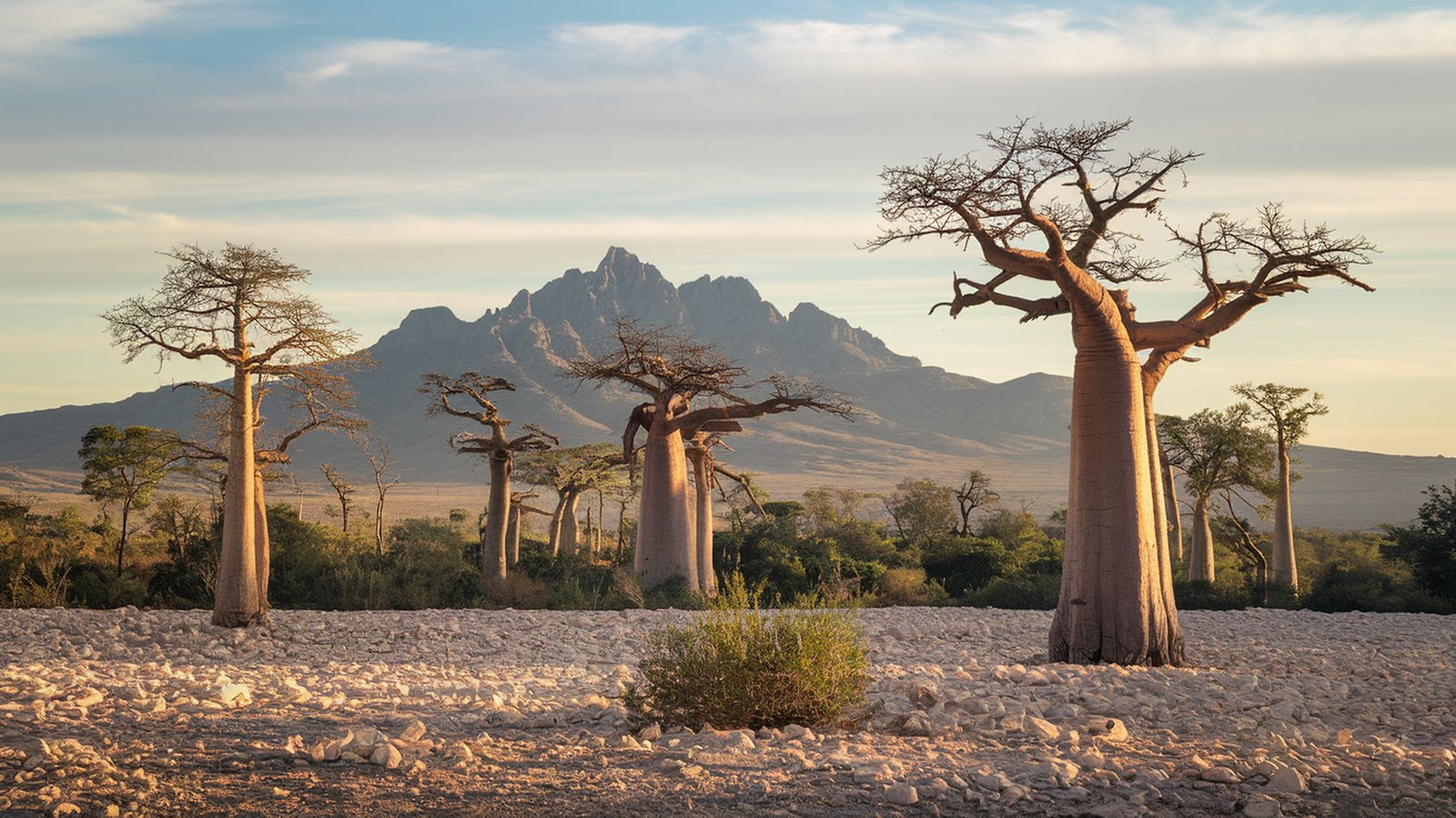 Tapeta, pozad Madagaskar | 1600x900 | wallpaper na plochu PC, tabletu 