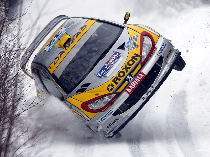 Peugeot 206 WRC | 800x600. Pozad na PC, wallpaper, tapeta, obrzek na plochu monitoru, displeje